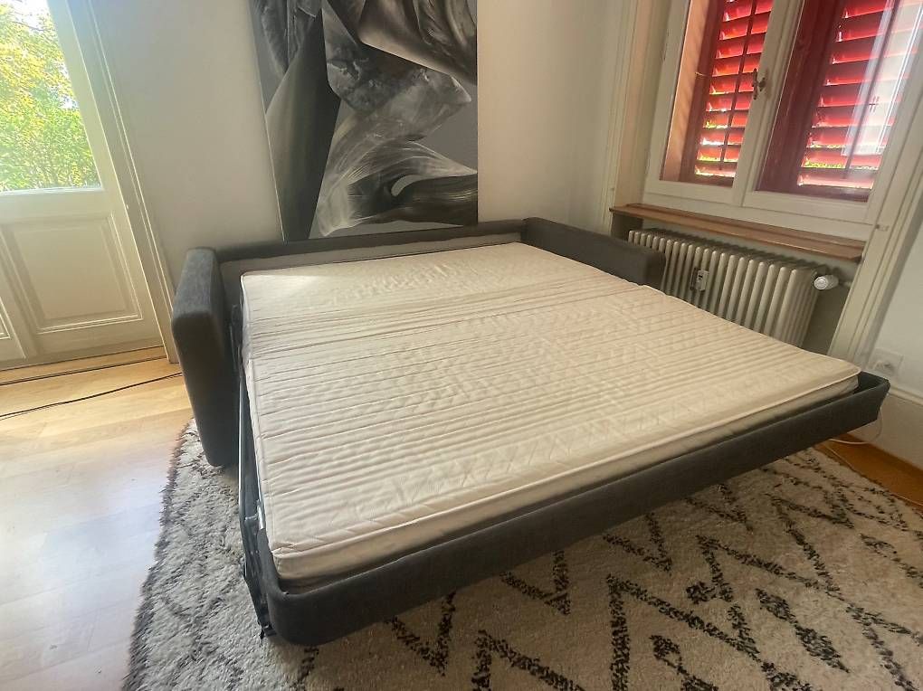 Sofas: Bettsofa Flexform – Gebraucht aus solothurn von mar_h8mh 4