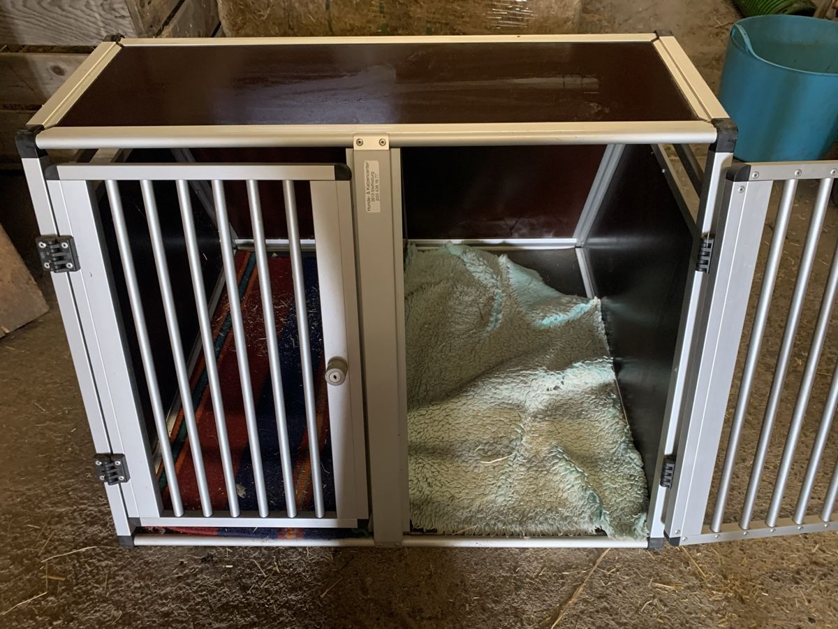 Gabbie, trasporto & Sicurezza: Doppel Box für Hunde – Usato da Thun venduto da xsaraa 1