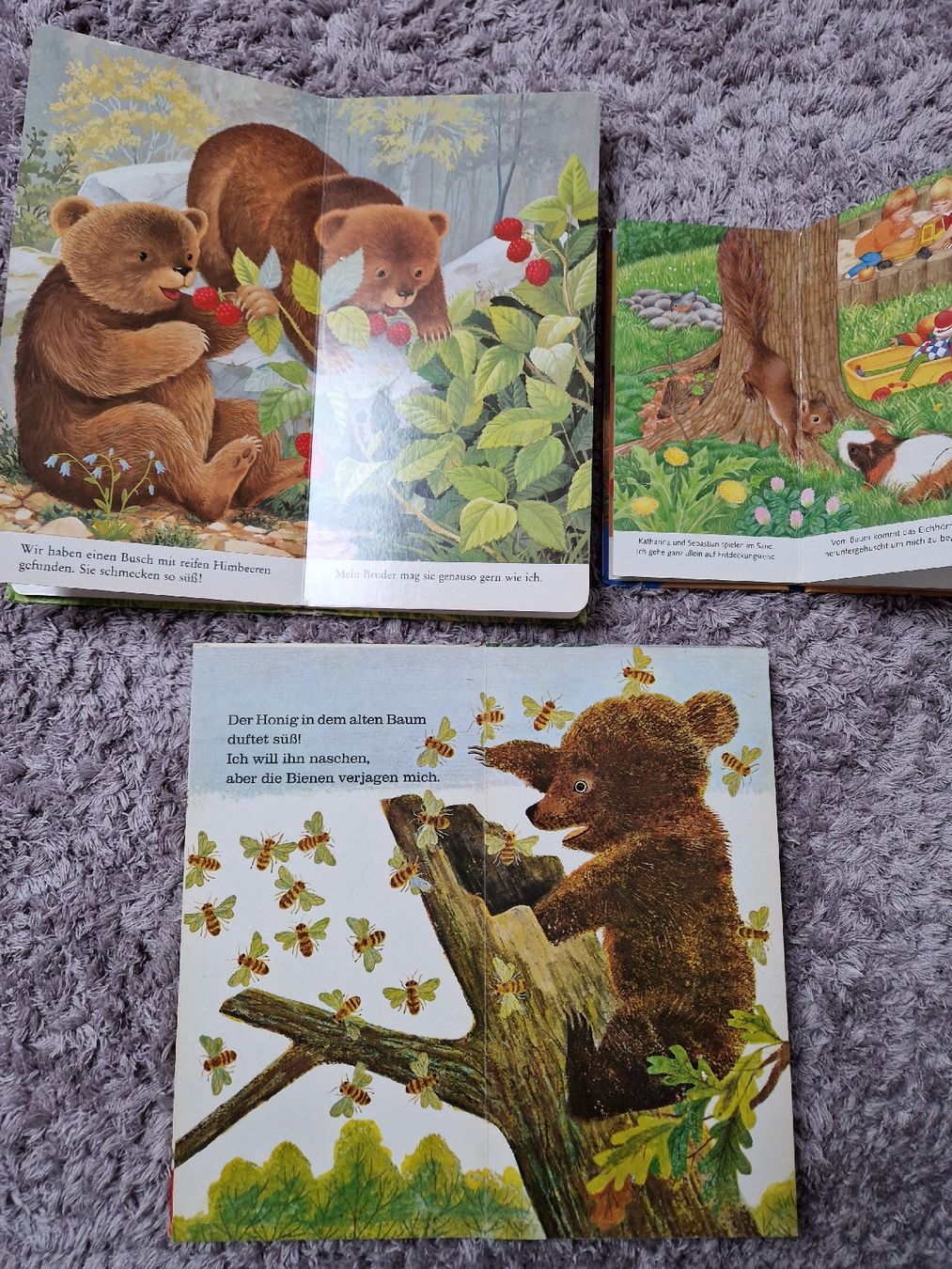 Livres: Ich bin das kleine Bärenkind – D'occasion à Henau par ale_bc8n 3