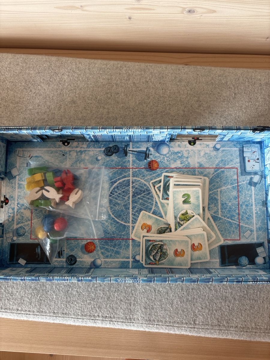 Amigo Giochi: Familienspiel ICECOOL – Usato da Pany venduto da stuf3 2