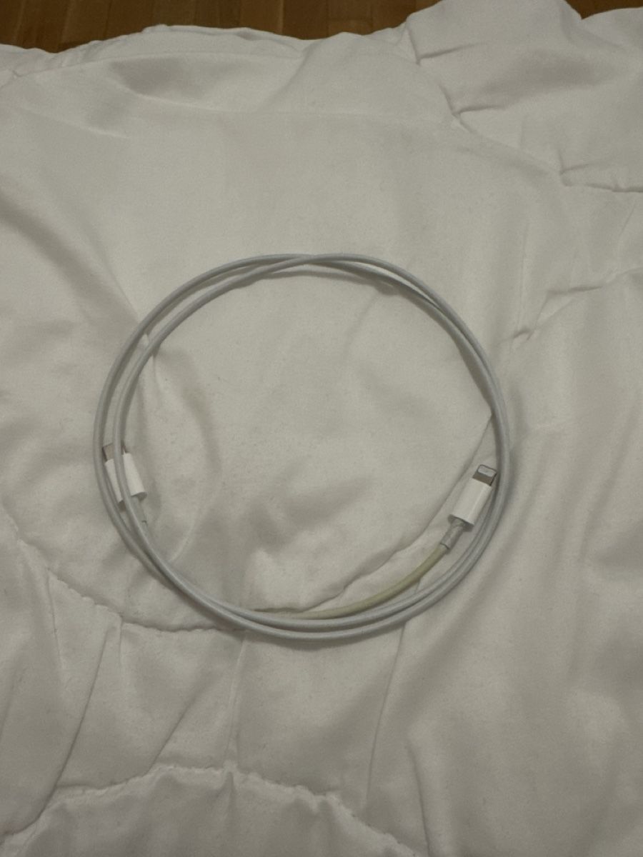 Apple Cavi: Apple Ladekabel USB-C – Nuovo (secondo la descrizione) da luzern venduto da Golfismypassion
