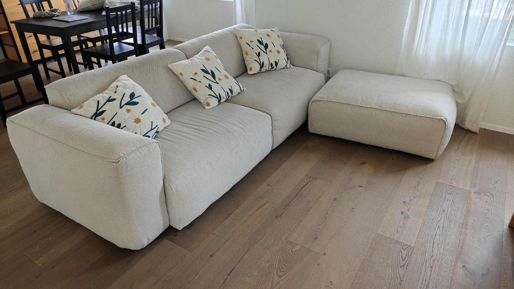 Sofas: Hudson Sofa + Hudson Polsterhocker – Gebraucht aus Kilchberg ZH von mar_p22k