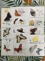 Karten Schmetterlingsmotive 18er Set, handgemalt, neuwertig