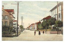 Flawil (SG) Wiesental - Wohnhäuser - Hand coloriert - 1903