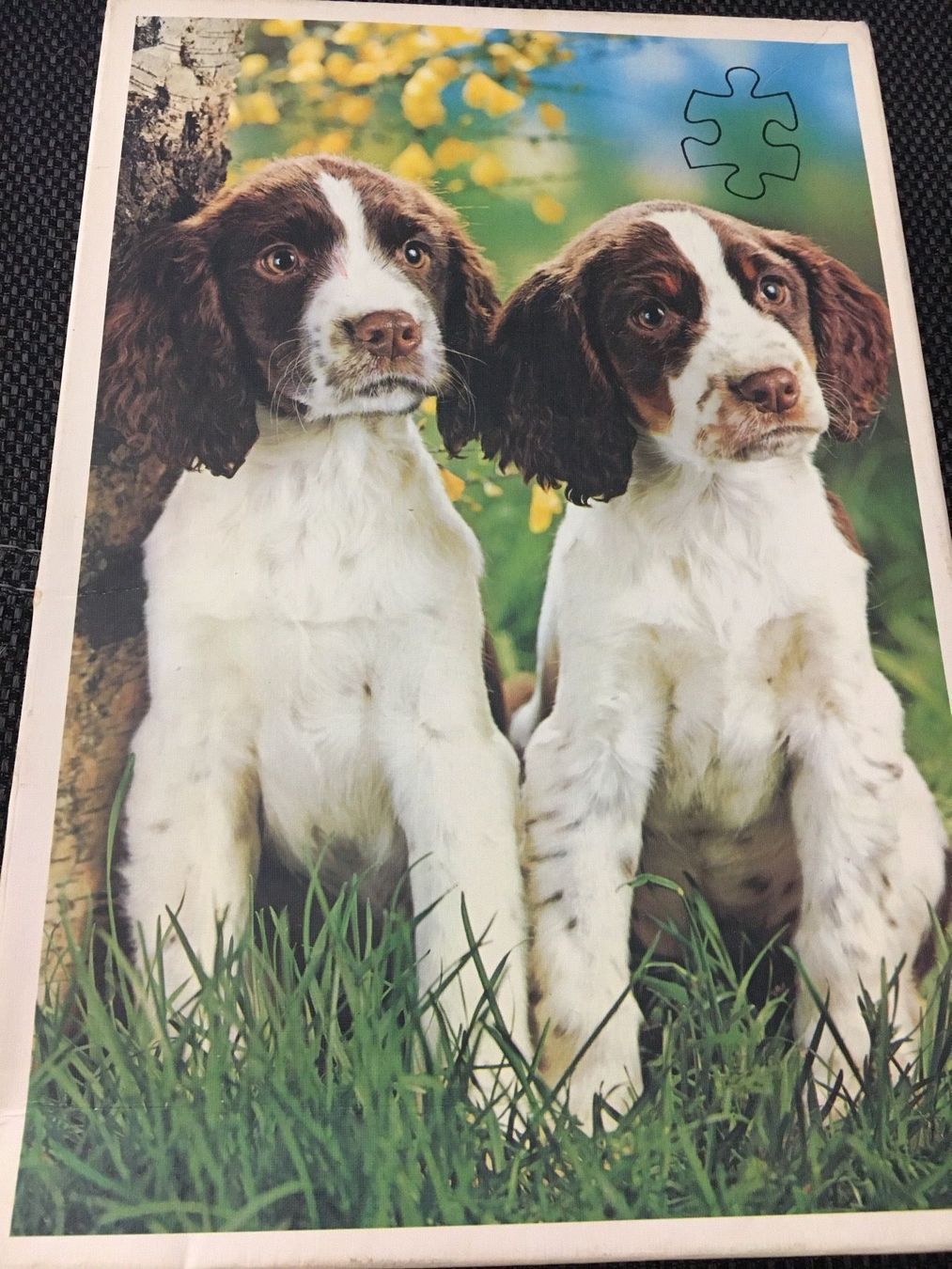 Puzzle: Ravensburger- Puzzle HUNDE 126 Teile – Usato da Siegershausen venduto da Bubsi83 3