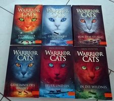 Warrior Cats Buchserie von Erin Hunter 6 Bände Staffel1