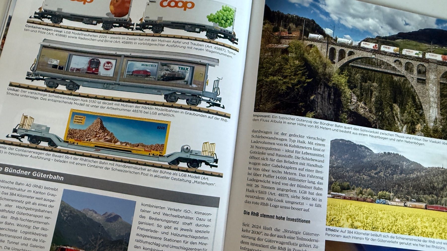 Riviste & Magazine: LGB Depesche 03/2025 – Nuovo (secondo la descrizione) da Samedan venduto da Gischpel25 9
