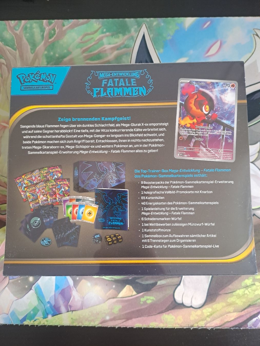 Pokémon Carte collezionabili: Fatale Flammen Top-Trainer – Usato da Basel venduto da mfe_86h9 1