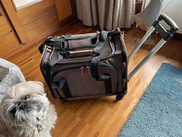 Chien-Chat Trolley Voyage-Extensible -Airline Aproved