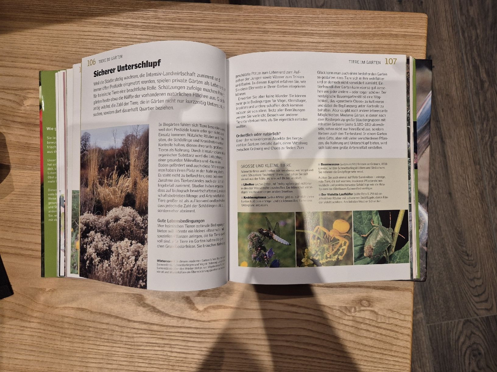 Libri: Buch Biologisch gärtnern – Usato da Lanzenhäusern venduto da Sulaika0 2