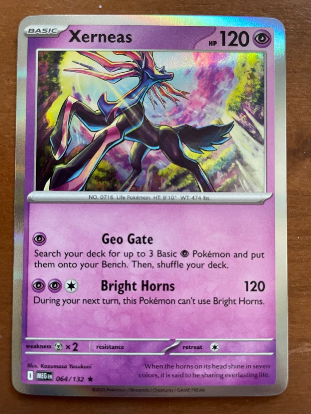 Pokémon Carte collezionabili: Pokemon Xerneas Holo (Versand gratis) – Nuovo (secondo la descrizione) da Chur venduto da Angerson