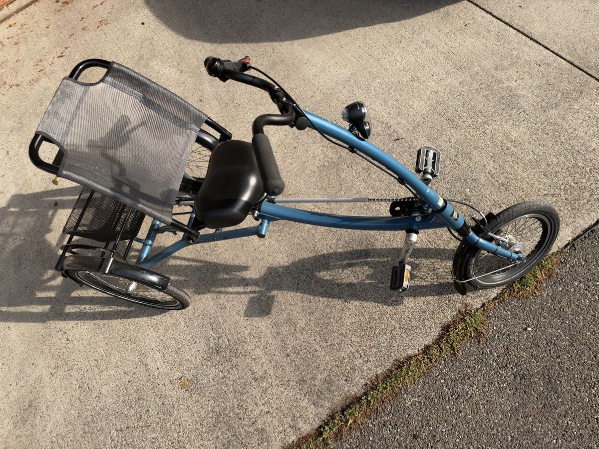 Biciclette: Dreirad Velo – Usato da Seengen venduto da Fatio_3 3