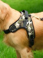 Premium Hundegeschirr Camouflage - Neu OVP
