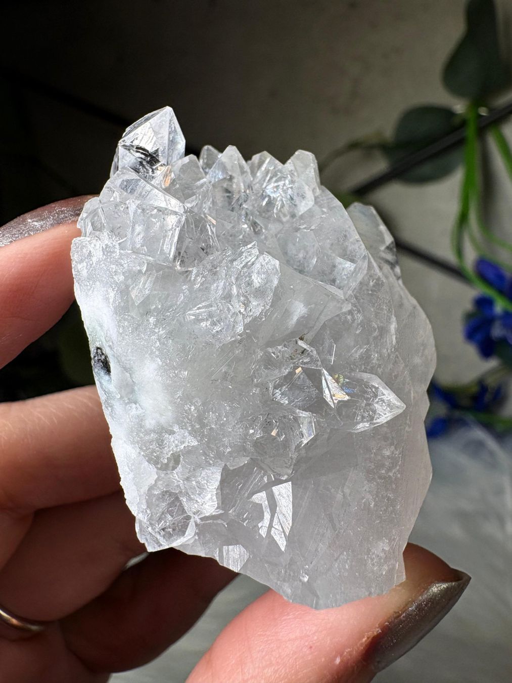 Mineralien & Heilsteine: Apophyllit – Neu und originalverpackt aus Neuheim von m.hald 1