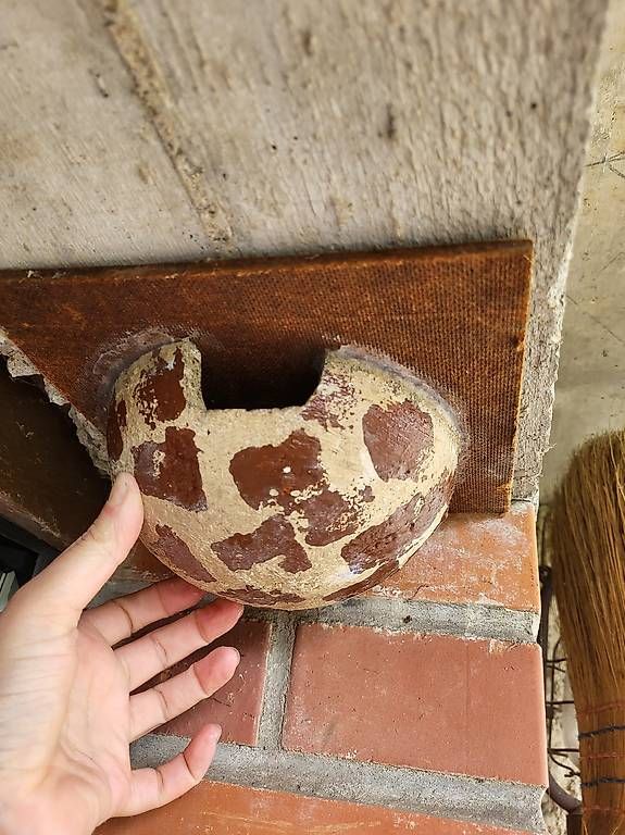 Vogelhäuser: 4 Schwalbennester – Gebraucht aus Schaffhausen von lin_r6yz