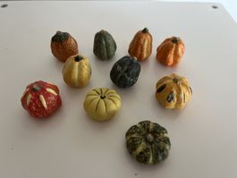Herbst Dekoration Mini Kürbisse 10 Stk