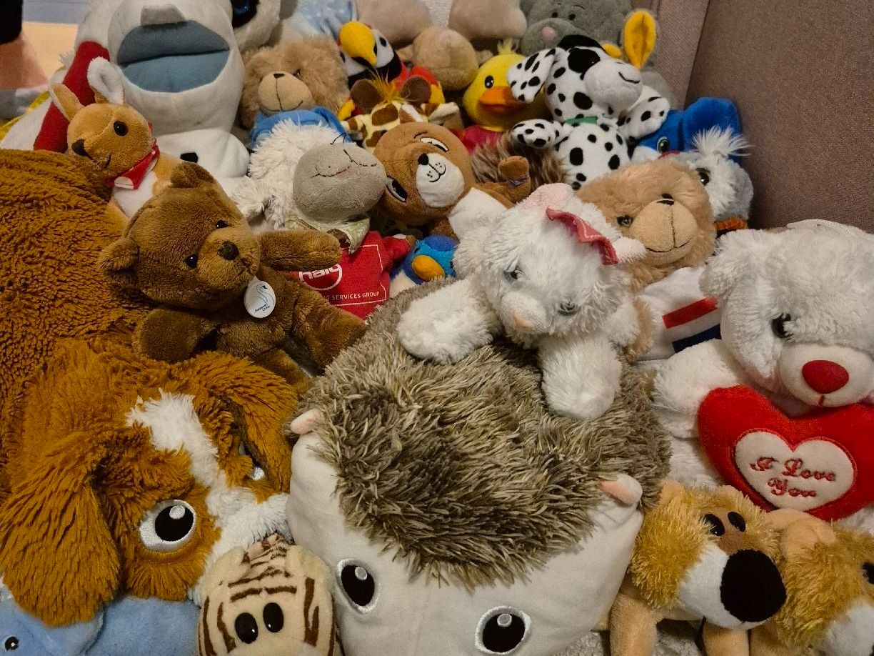 Jouets: Grosses Plüschtier-Paket – D'occasion à Altendorf par caj_hry2 1