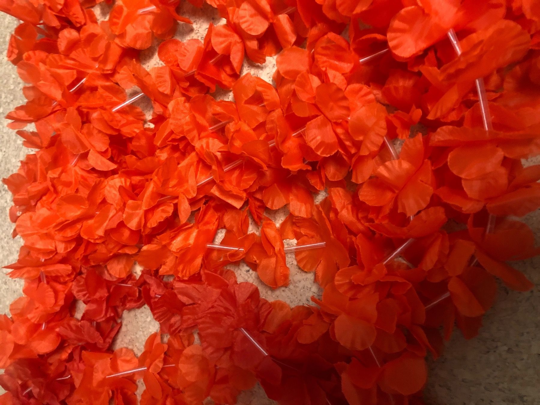 Costumi: Hawaiketten orange – Usato da Ballwil venduto da goldi360 2