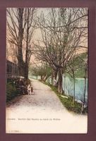 GENEVE - Sentier des Saules - CPN // pli d'angle //