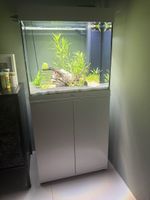 Juwel Aquarium 120 Liter