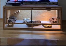 Terrarium Pogona complet 150x60x60 - avec  UVB + Accessoires