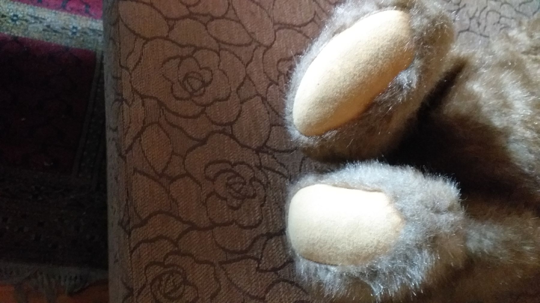 Teddy Hermann Spielzeuge: Hermann Teddy – Gebraucht aus Wünnewil von 04Blume 4