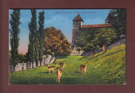 RAPPERSWIL - Schloss und Hirschpark