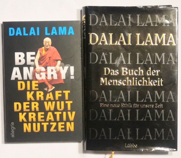 Libri: 2 Bücher vom Dalai Lama – Usato da Wängi venduto da ABIZONE-86
