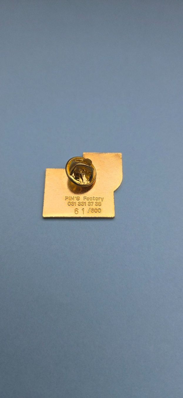 Placchette & Badge: 1 Pin Rohbaufest 1995 Rütschelen – Usato da Rütschelen venduto da Urmel16 1