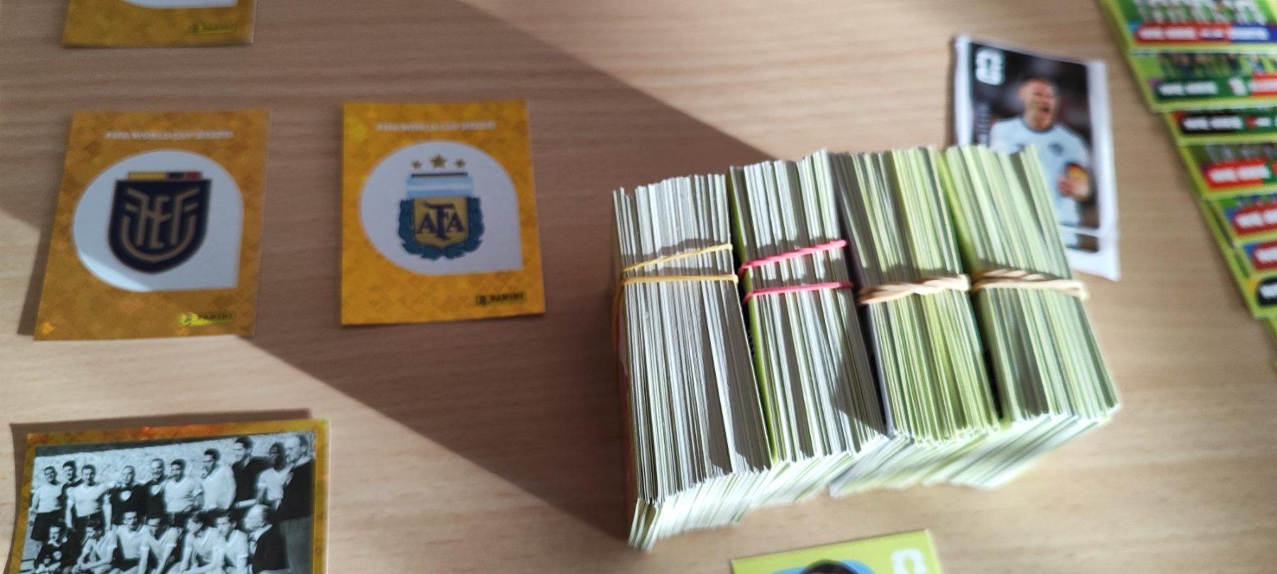 Panini Carte collezionabili: Panini WM 2026 / ca. 550 Sticker – Usato da Landquart venduto da Venue85 2