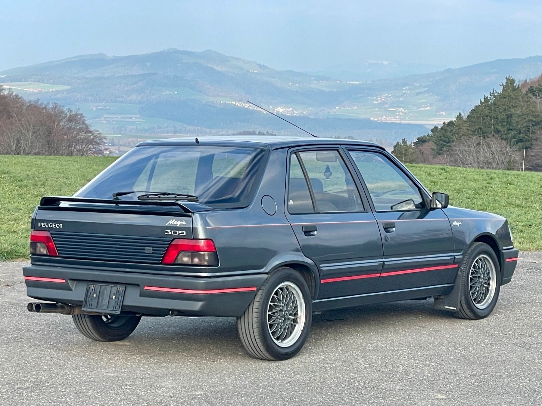 Peugeot Automobili: Peugeot 309 Ph2 – Usato da Belp venduto da Detailfreak 4