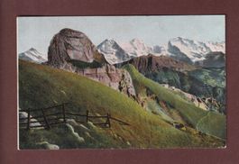 SCHYNIGE PLATTE - Gummihorn - 1904