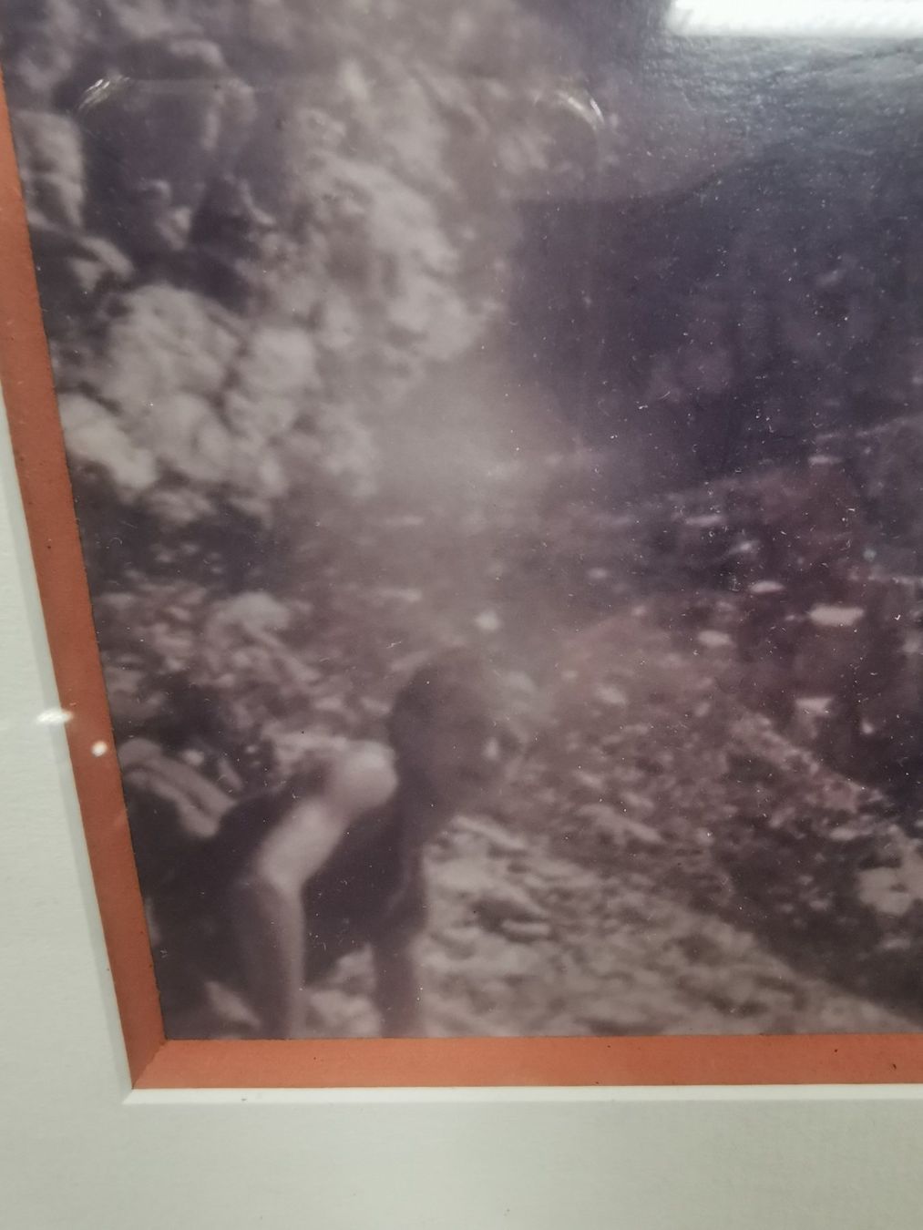 Foto & Immagini: PHOTOGRAPHE DE MONTAGNES – Usato da Genève venduto da Qanil77 2