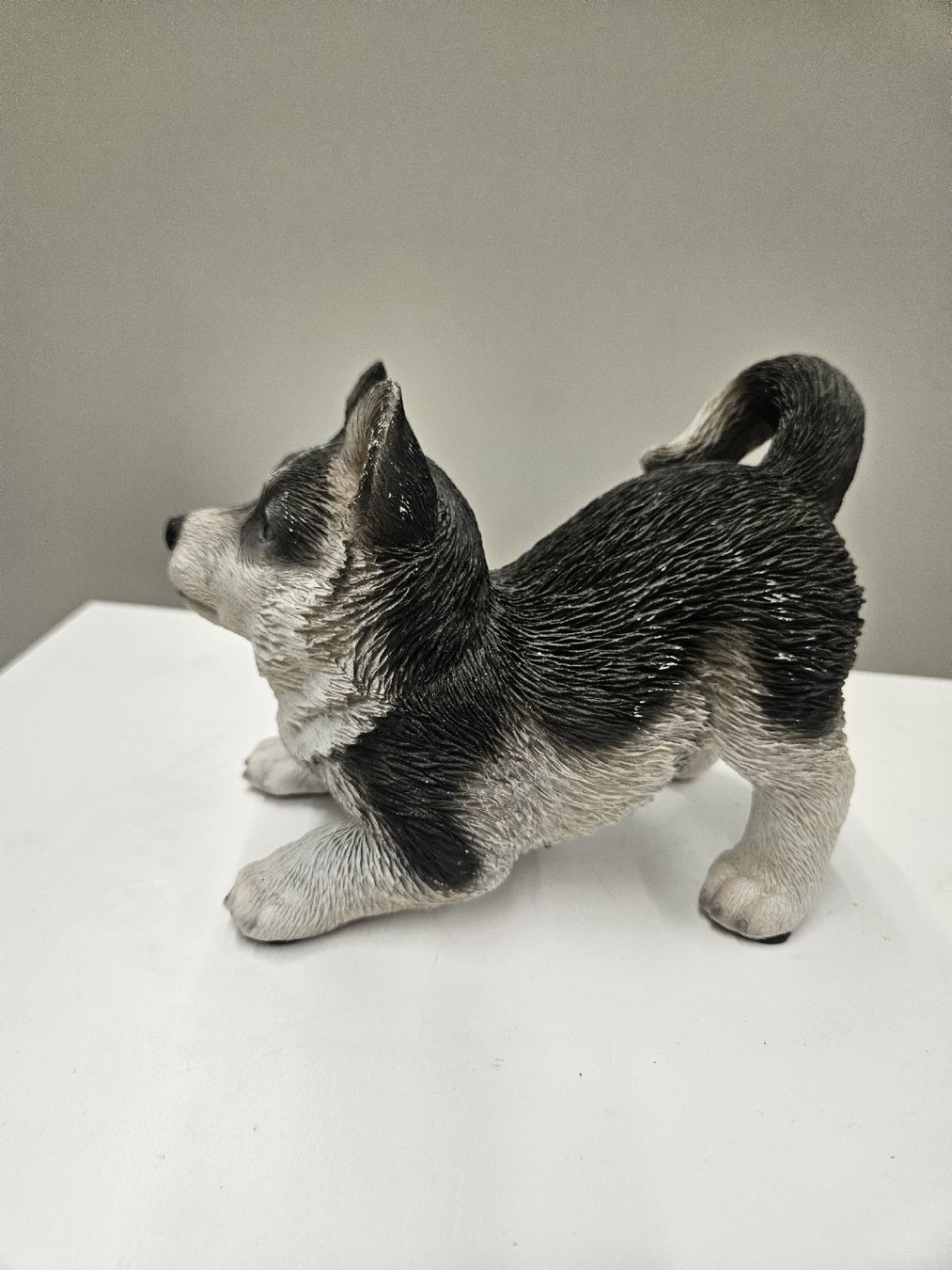 Statuette: Baby Husky 18cm x 15cm – Nuovo (secondo la descrizione) da Dielsdorf venduto da Kenan997 1