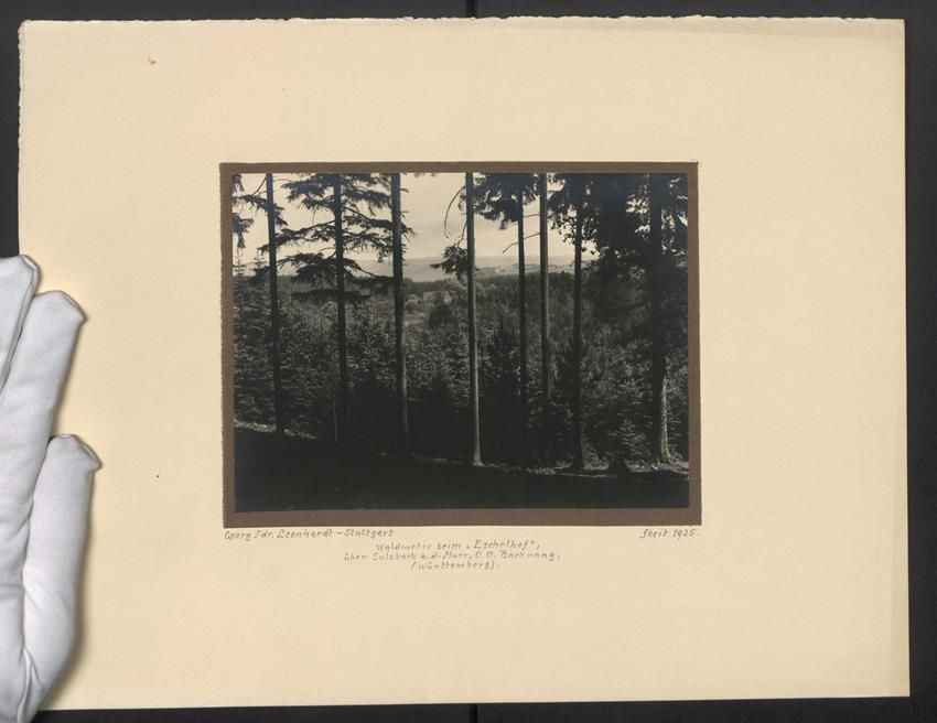 Photos & affiches: Fotografie Sulzbach / Murr, Waldblick be – D'occasion à Berlin par bartko-reher