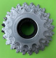 Regina CX-Leerlauf/ stahl / 6fach / 14-24