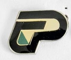 Pin Kantonspolizei Zürich  silberfarbig