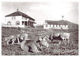 Gasthaus Hundwilerhöhe mit Stempel, gelaufen 1964