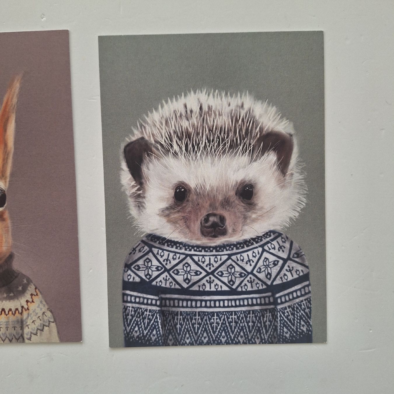 Cartes postales: 3 Postkarten - Igel - Hirsch - Eichhörnchen – Neuf (Voir description) à Basel par Kunterbunt12 2