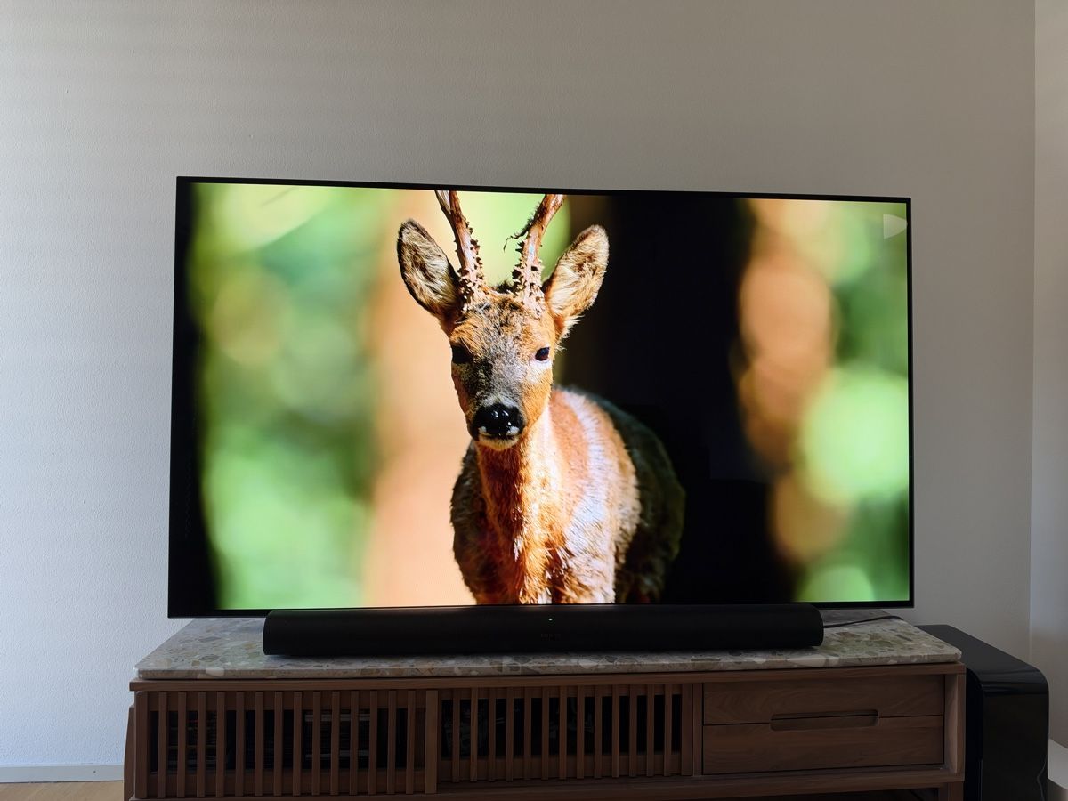 LG Televisori: LG OLED77CX 77" (195cm) OLED 4K – Usato da Bern venduto da StrawberryKing 6