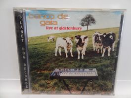 Banco De Gaia, Live At Glastonbury