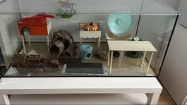 Hamstergehege mit viel Zubehör