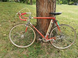 Mondia Special 