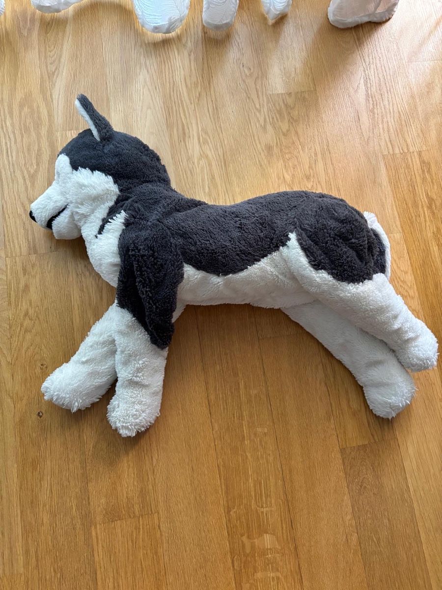 Ikea Spielzeuge: Hund Husky Stofftier Ikea  – Gebraucht aus Balsthal von Inty200 1