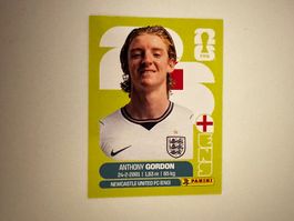 Panini Sticker Anthony Gordon ENG 15