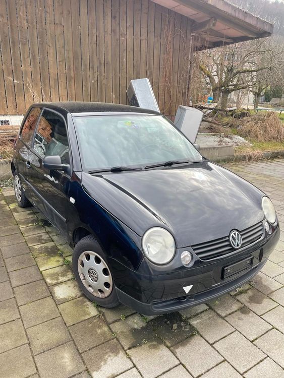 Fumatten Fur Vw Lupo
