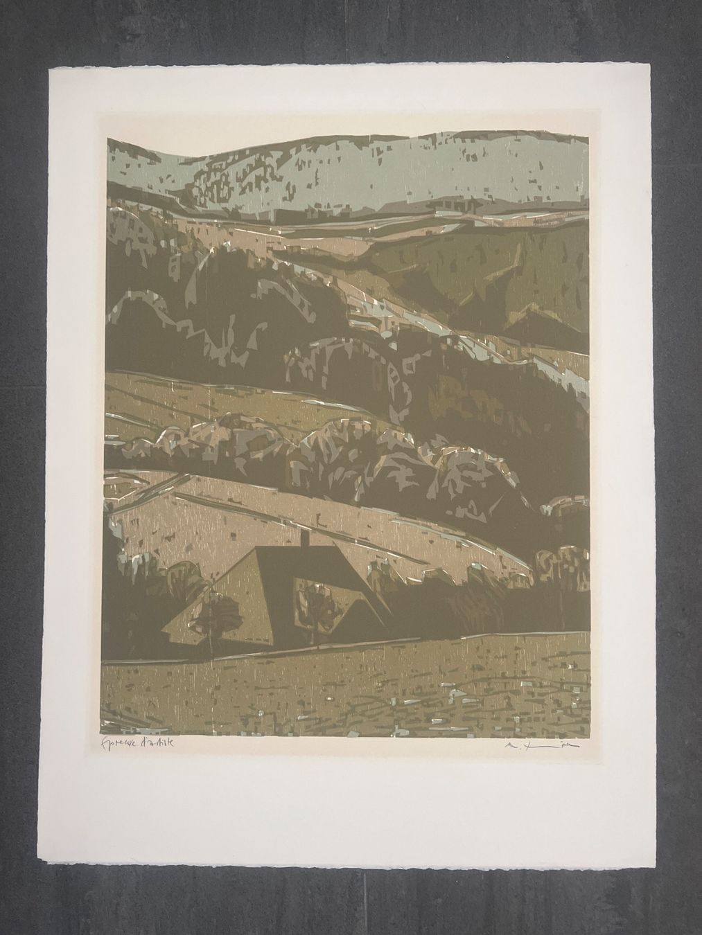 Arts picturaux & lithographies: Martin Thönen, handsigniert – D'occasion à Rain par Pic-Ass