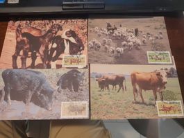 4 Cartes Postales Animaux de Ferme et Timbres Rares!