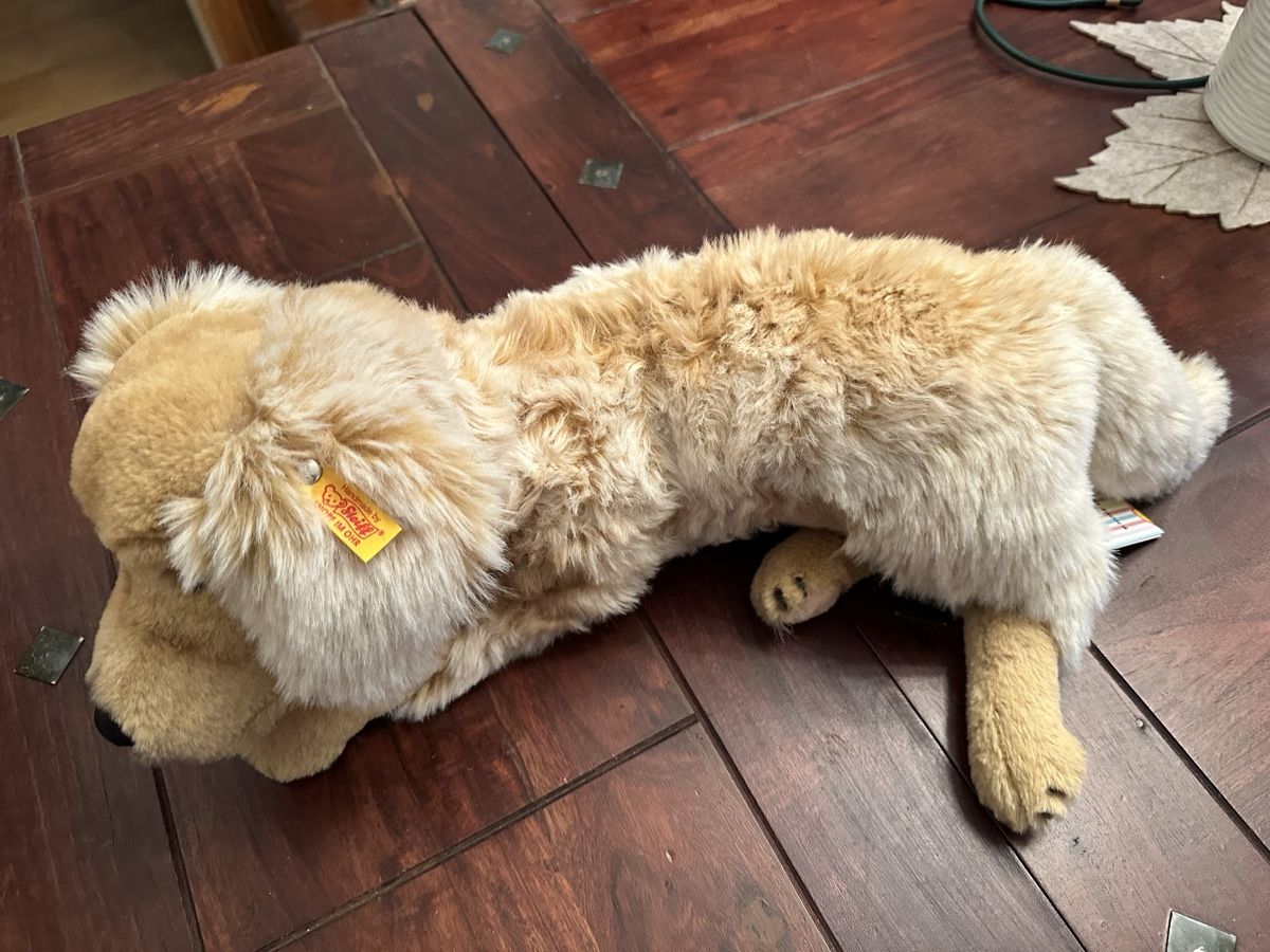 Steiff Spielzeuge: Steiff Golden Retriever Neu  – Neu (gemäss Beschreibung) aus Bern von Ruhrallee 5