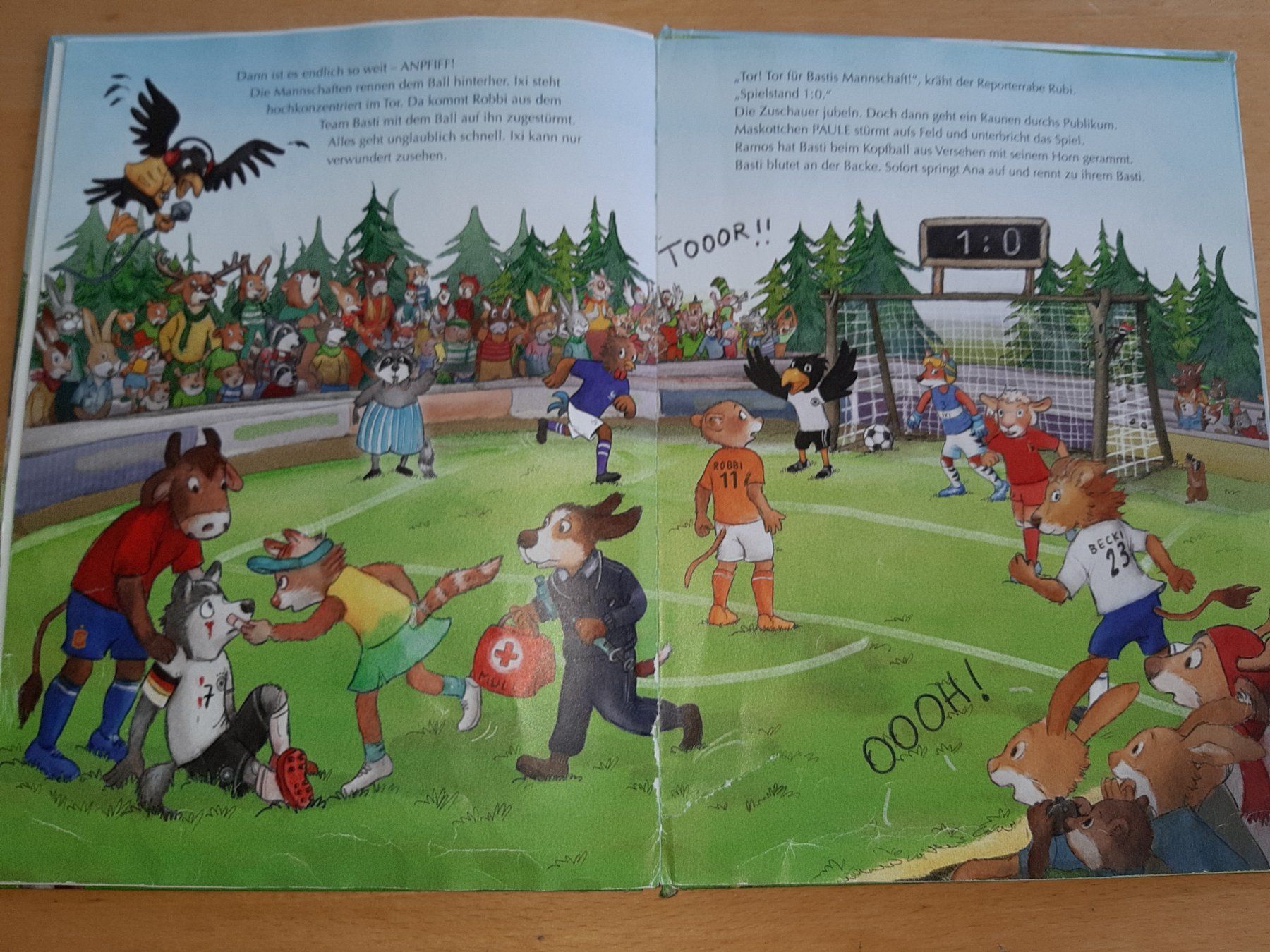 Libri: Fussballfieber - Kinderbuch – Usato da Rotkreuz venduto da nigal 3